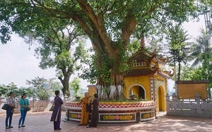 Tinh hoa văn hóa Câu đối chùa Hà Nội