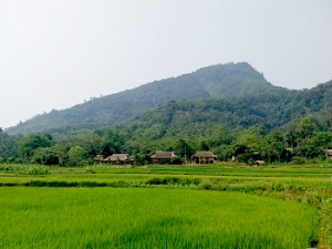 Bản làng ẩn hiện giữa một màu xanh trập trùng của núi đồi, ruộng  nương